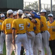 Wildcats Begin Bi-District Action Friday at North Forney