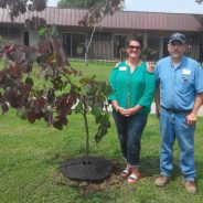 An Arbor Day Remembrance at SS Health, Rehab