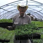 James Frank Burns, Sr.