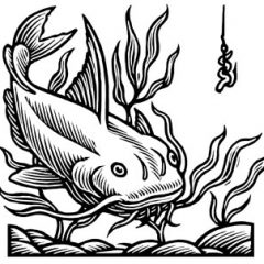 Yantis Catfish Classic is May 6,7 at Minnow Bucket