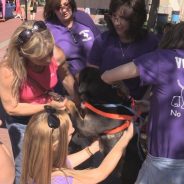 Canine Corner Busy at Reds, Whites, and Brews