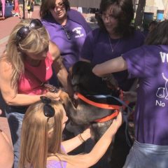 Canine Corner Busy at Reds, Whites, and Brews