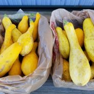 Inmate Trustee Farm Produce Stand