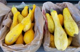 Commissioner Miller Encourages Nutrition Program Partners to Serve up Texas Farm Fresh