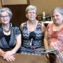 Meet Three Ms. Sr. Contestants!