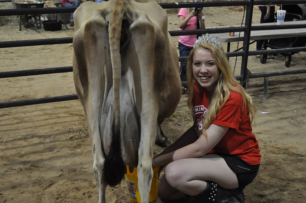 HC Dairy Festival-Bobby McDonald  Milking Contest