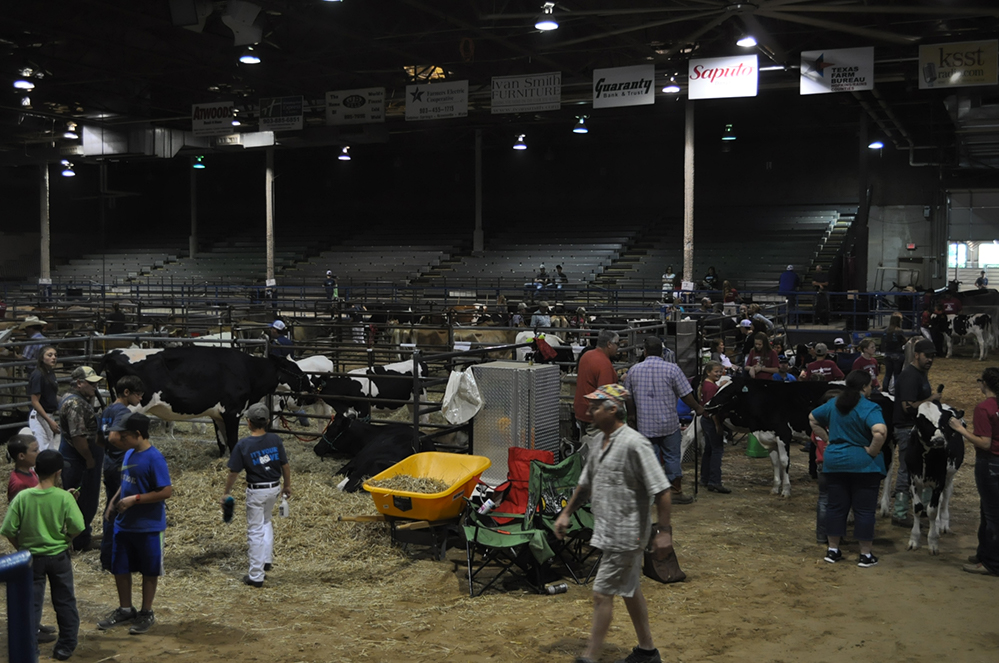 Junior Dairy Show