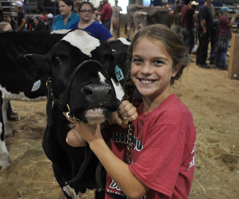 Junior Dairy Show