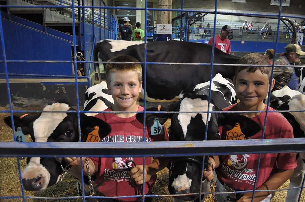 Junior Dairy Show