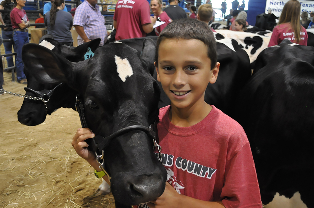 Junior Dairy Show