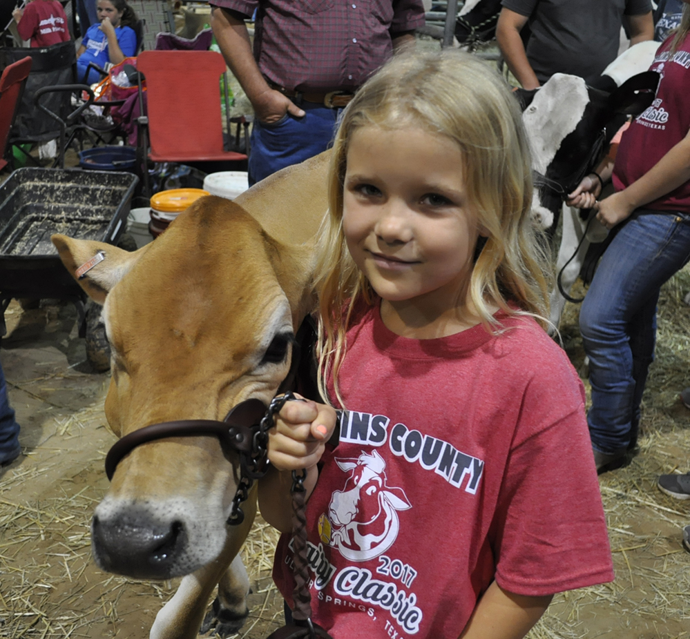 Junior Dairy Show