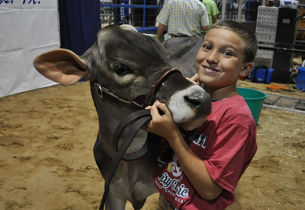 Junior Dairy Show