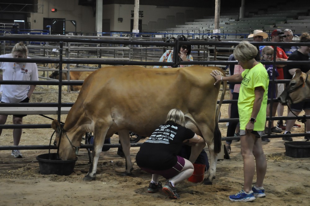 Dairy fest 109