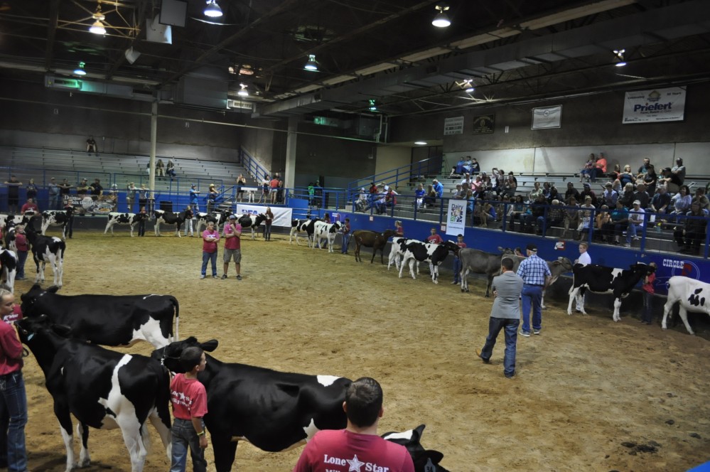 Dairy fest 63