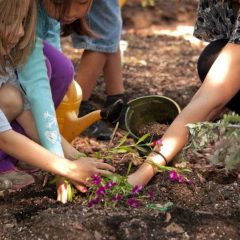 Let’s Get Kids Into Gardening