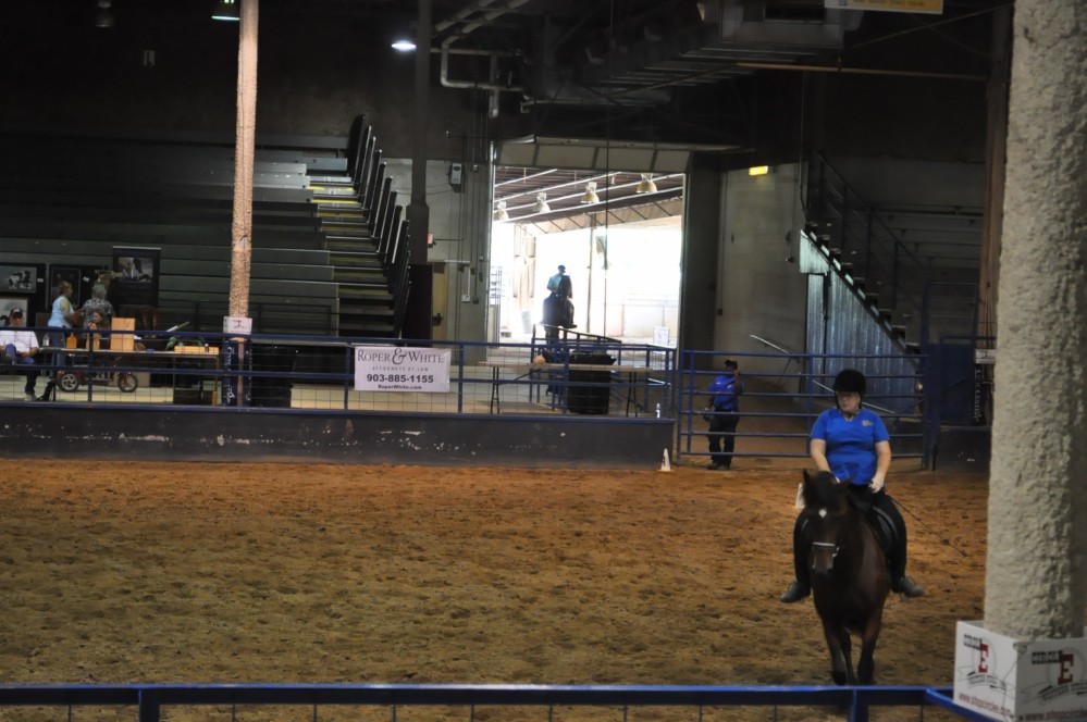 Dressage clinic and show1