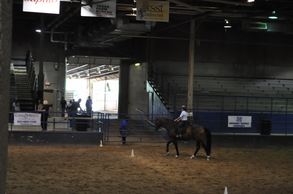 Dressage clinic and show10