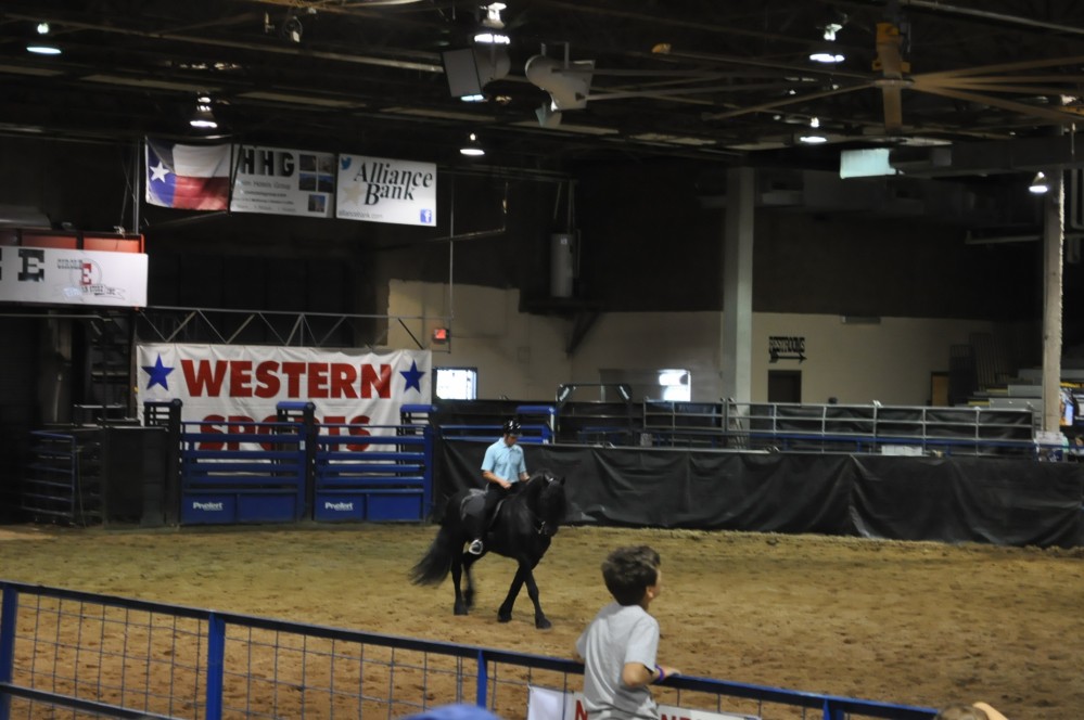 Dressage clinic and show12