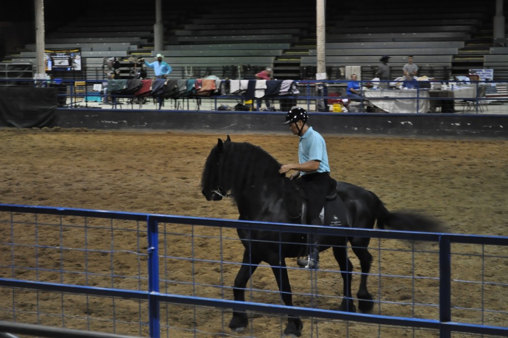 Dressage clinic and show15