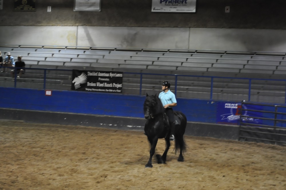 Dressage clinic and show2