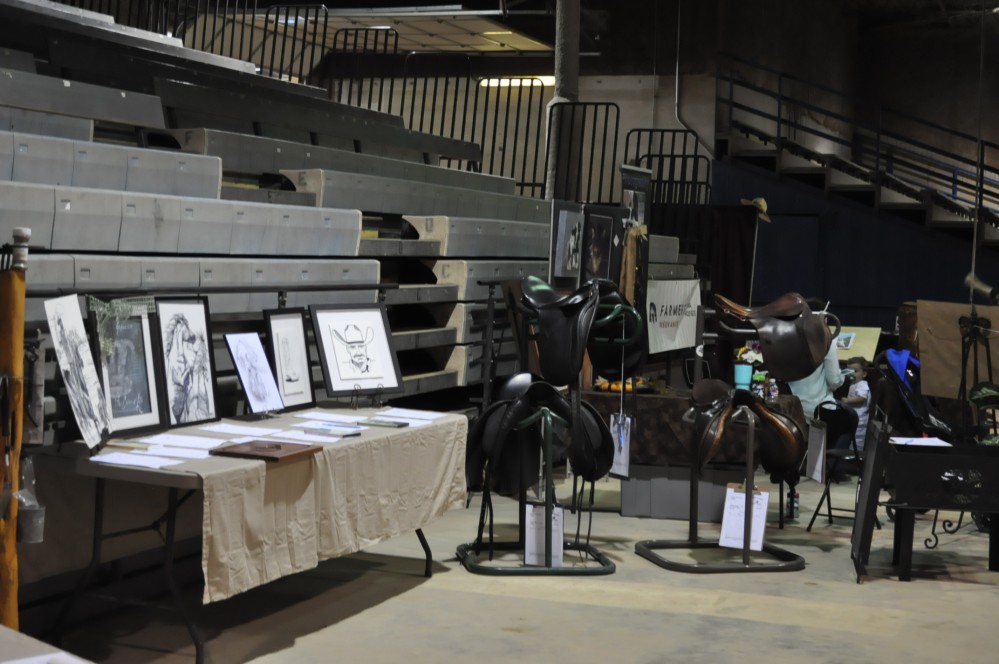 Dressage clinic and show24