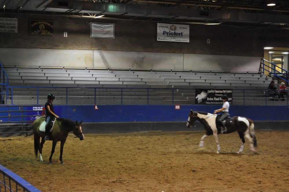 Dressage clinic and show29