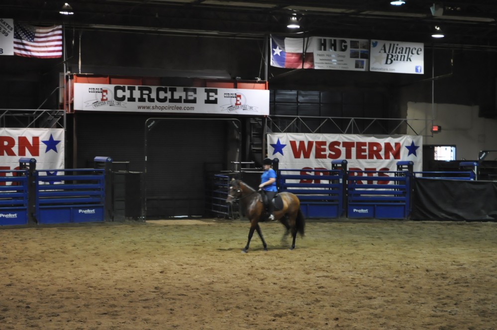 Dressage clinic and show3