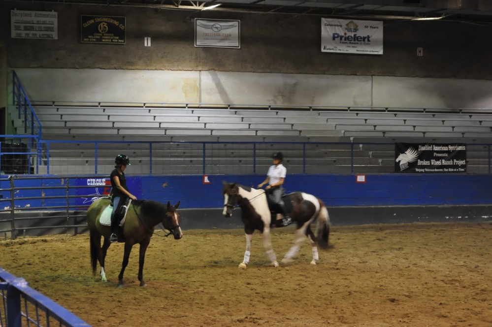 Dressage clinic and show30