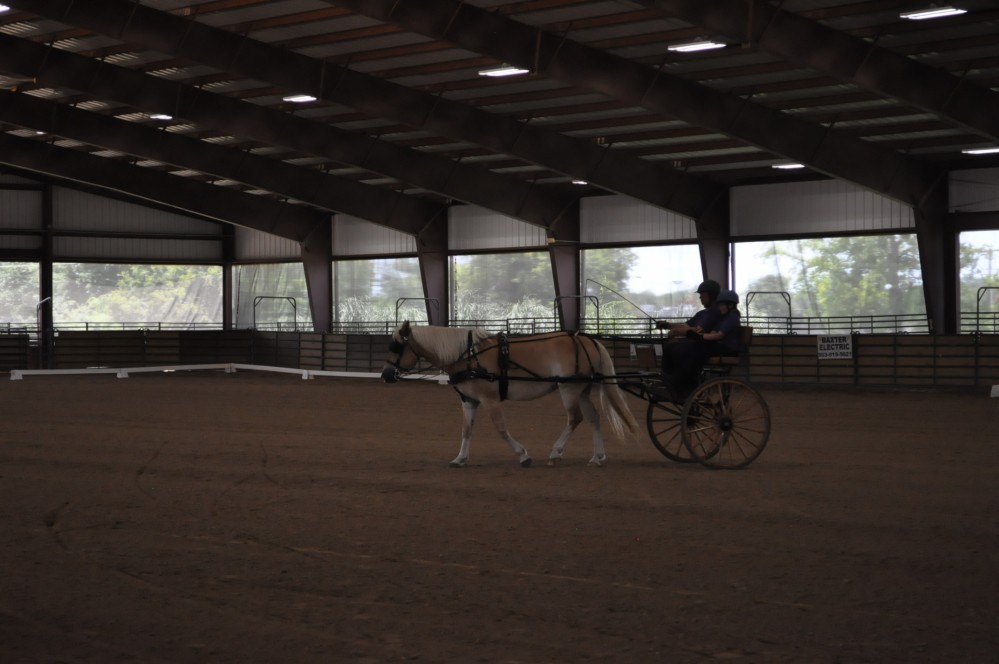 Dressage clinic and show34