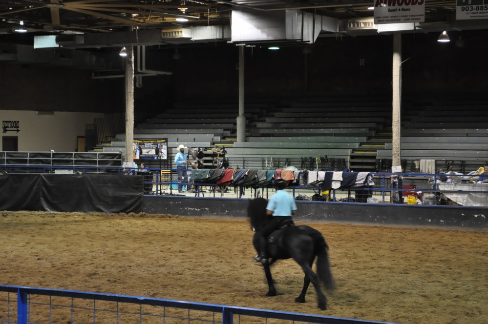 Dressage clinic and show4