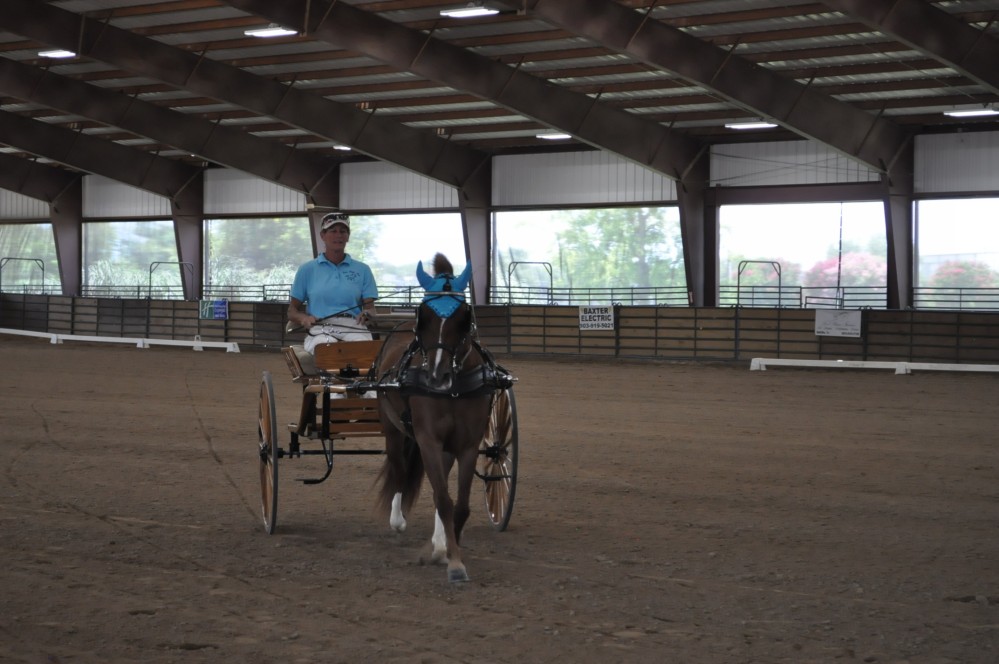 Dressage clinic and show42