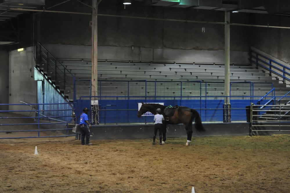 Dressage clinic and show7
