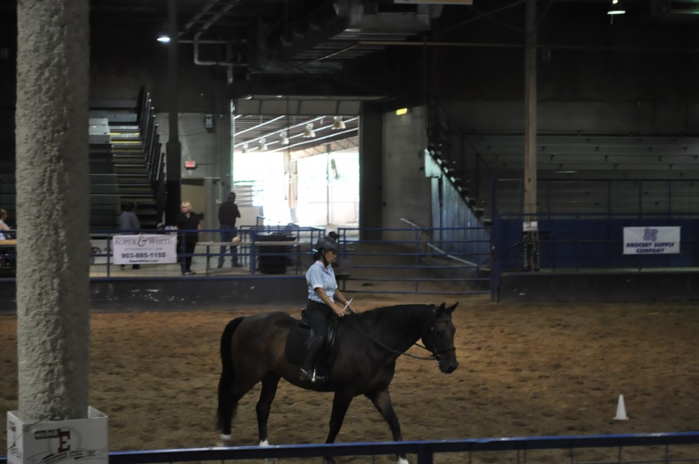 Dressage clinic and show8