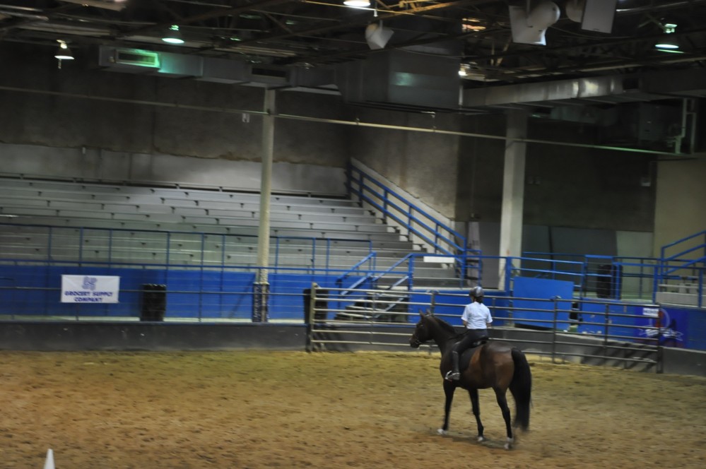 Dressage clinic and show9