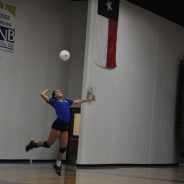 Lady Cats Defeat Paris