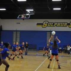 Lady Cat Volleyball in Wills Point Tournament Friday and Saturday