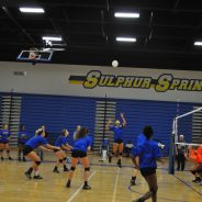 Lady Cat Volleyball Finishes Second in Pool Play; Continue Championship Bracket Play Saturday