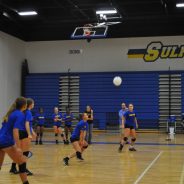 Lady Cats in McKinney Tuesday Night