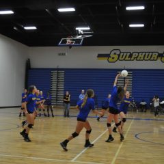 Lady Cat Volleyball Gains Experience in Garland Tourney