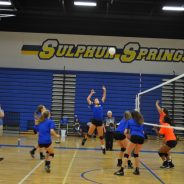 LadyCat Volleyball Camp Moved to Middle School Gym