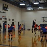 Game Day: Lady Cat Volleyball in Garland Tournament