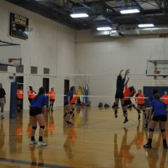 Game Day: Lady Cat Volleyball in Garland Tournament