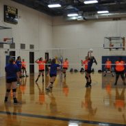 Lady Cat Volleyball Home Opener Tuesday; Lose in Final Game at Garland Tourney