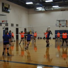 Lady Cat Volleyball Camp Underway