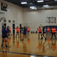 Lady Cat Volleyball Begins Two-A-Day Practice