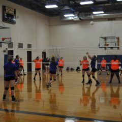 Lady Cat Volleyball Begins Two-A-Day Practice