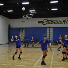 Lady Cats’ Volleyball Hosts First Two Games of Regular Season Tuesday
