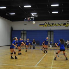 Lady Cats Volleyball Open Regular Season Play Tuesday at Home