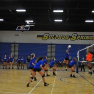 Lady Cats Volleyball 3, McKinney North 1