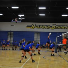 Lady Cats’ Volleyball over Hallsville